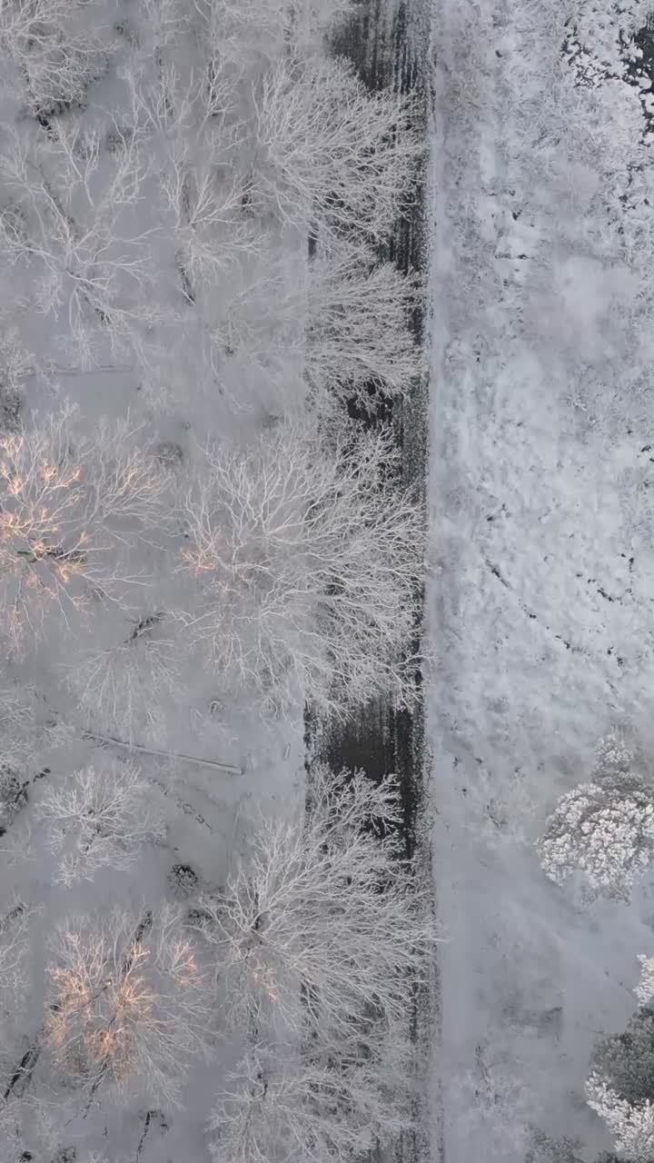 paesaggio invernale innevato vista aerea