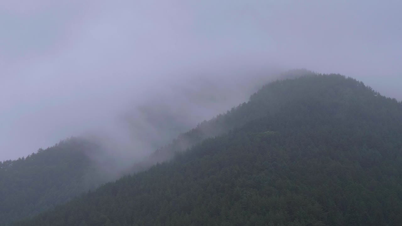 일본 고지대 후지산 주변의 안개