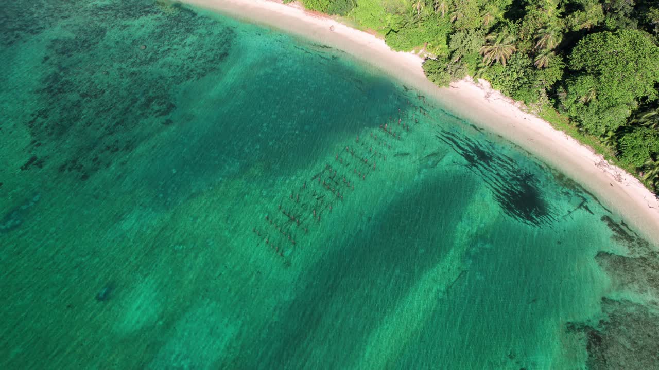 Orbit top view over the beach in Cahuita National Park, Costa Rica