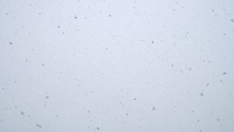 imágenes en bucle de nieve blanca fresca, nieve sin costuras.