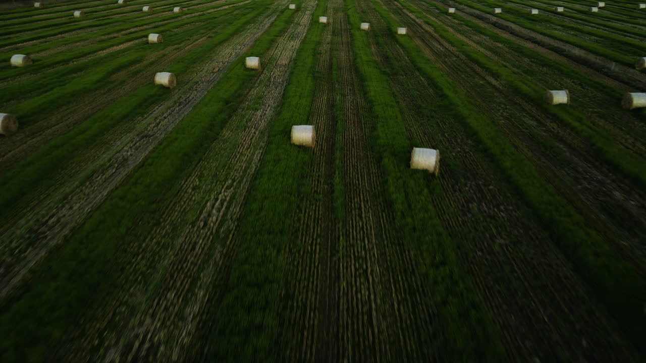 vista aérea de balas de heno en el campo de agricultura verde, nueva zelanda