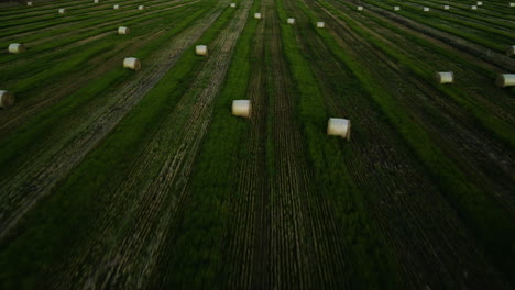 Luftaufnahme-Von-Heuballen-Im-Grünen-Landwirtschaftsfeld,-Neuseeland