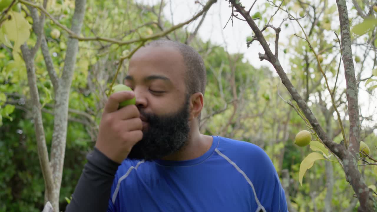 Hombre afroamericano con ropa deportiva azul entrando al jardín, tocando una fruta verde para comprobar su madurez.