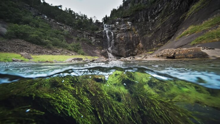 Uno scatto metà sopra e metà sotto la superficie dell'acqua del fiume poco profondo.