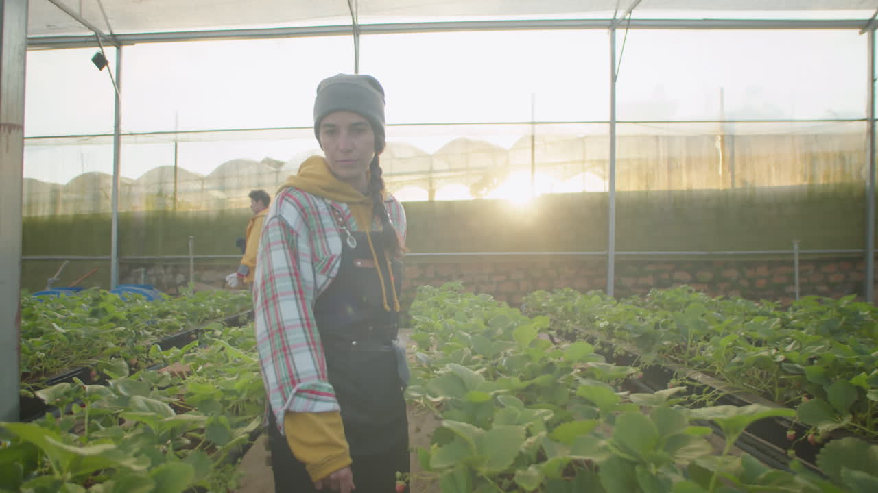 Female Worker Walking Between Plant Rows in Greenhouse Farm