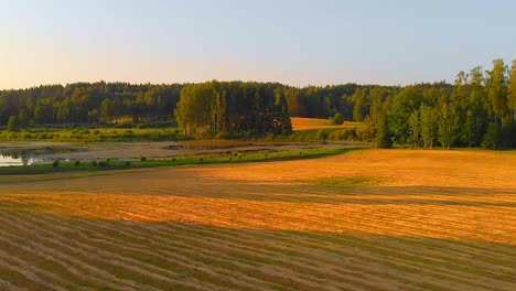 aerial footage of european nature reserve with small lake, ascending