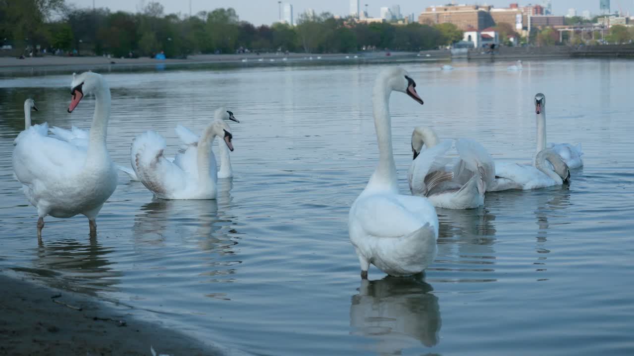 canada lake ontario summer water lakeshore toronto etobicoke water humber