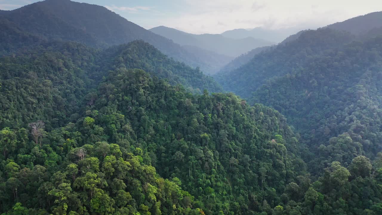 Premium stock video - Cinematic aerial view of beautiful jungle ...