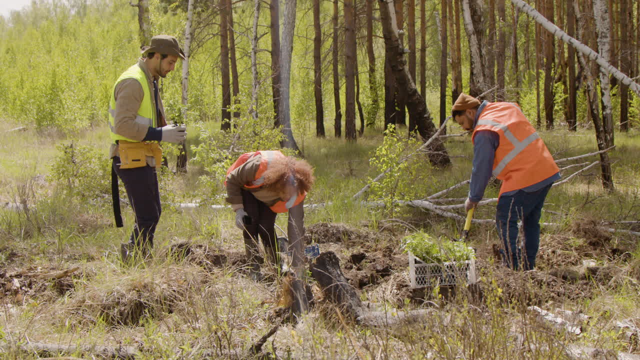 一群多民族的生态活动家在森林里耕地和种植树木