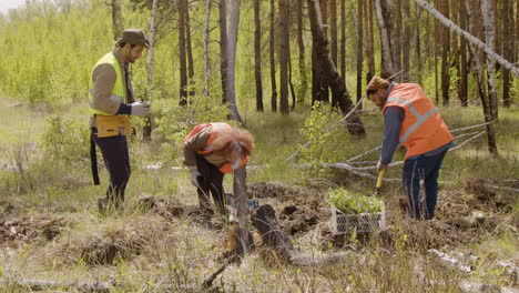 Grupo-De-Activistas-Ecologistas-Multiétnicos-Arando-La-Tierra-Y-Plantando-árboles-En-El-Bosque