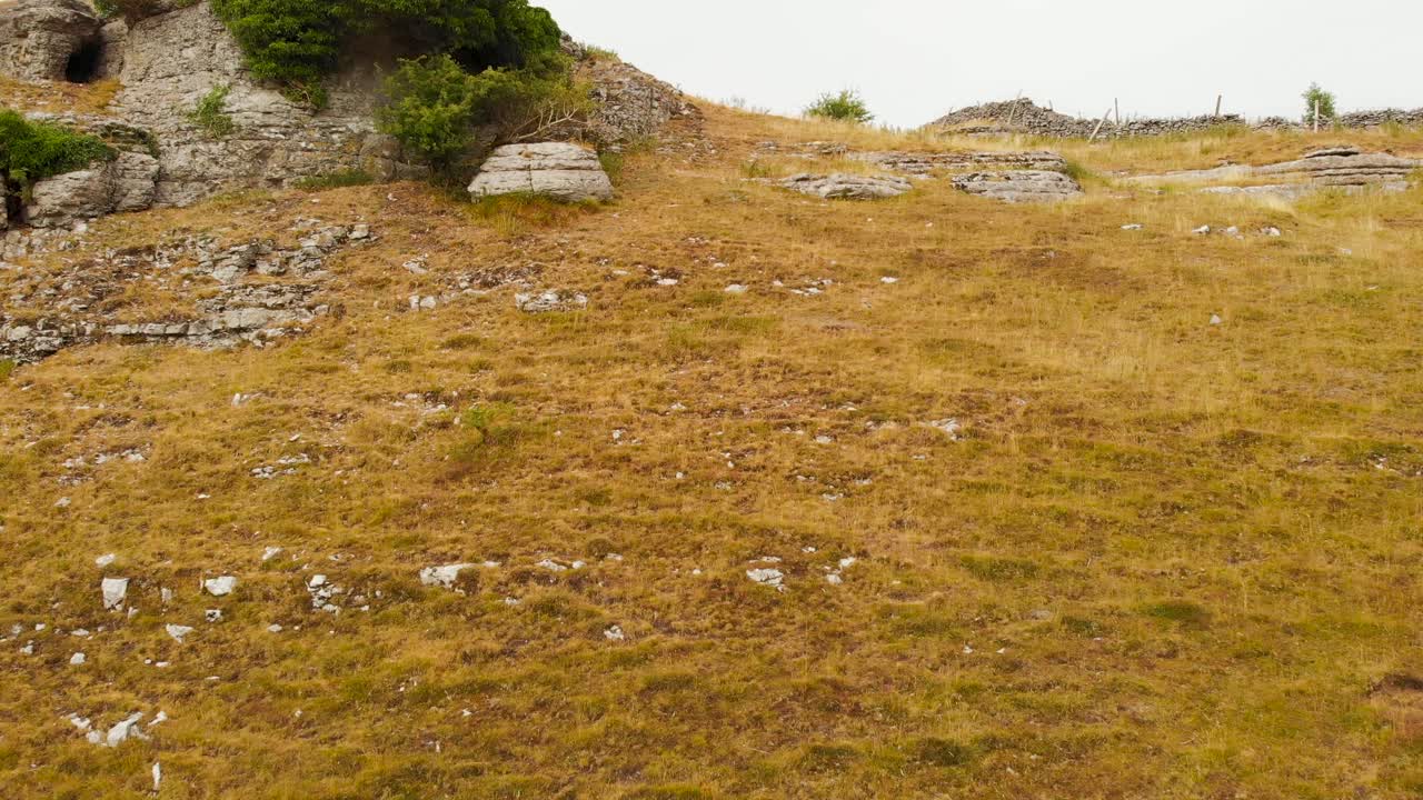 вид с воздуха, возвышающийся над долиной района желтых пиков, на идиллический сельский луг
