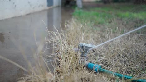 watering the lawn