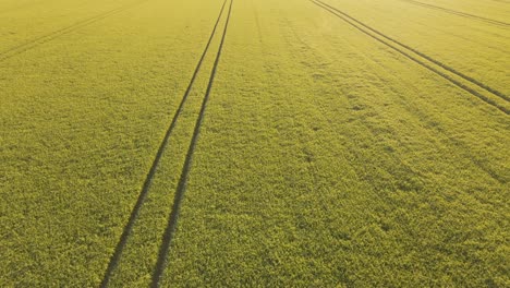 Luftaufnahme-Von-Landwirtschaftlichen-Feldern-Südlich-Von-München