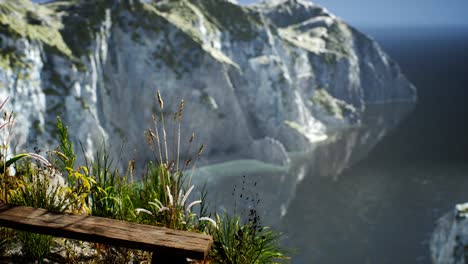 Frisches-Gras-An-Einer-Großen-Felsigen-Klippe-Im-Ozean