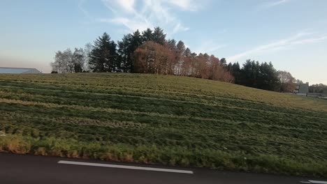 driving through the countryside