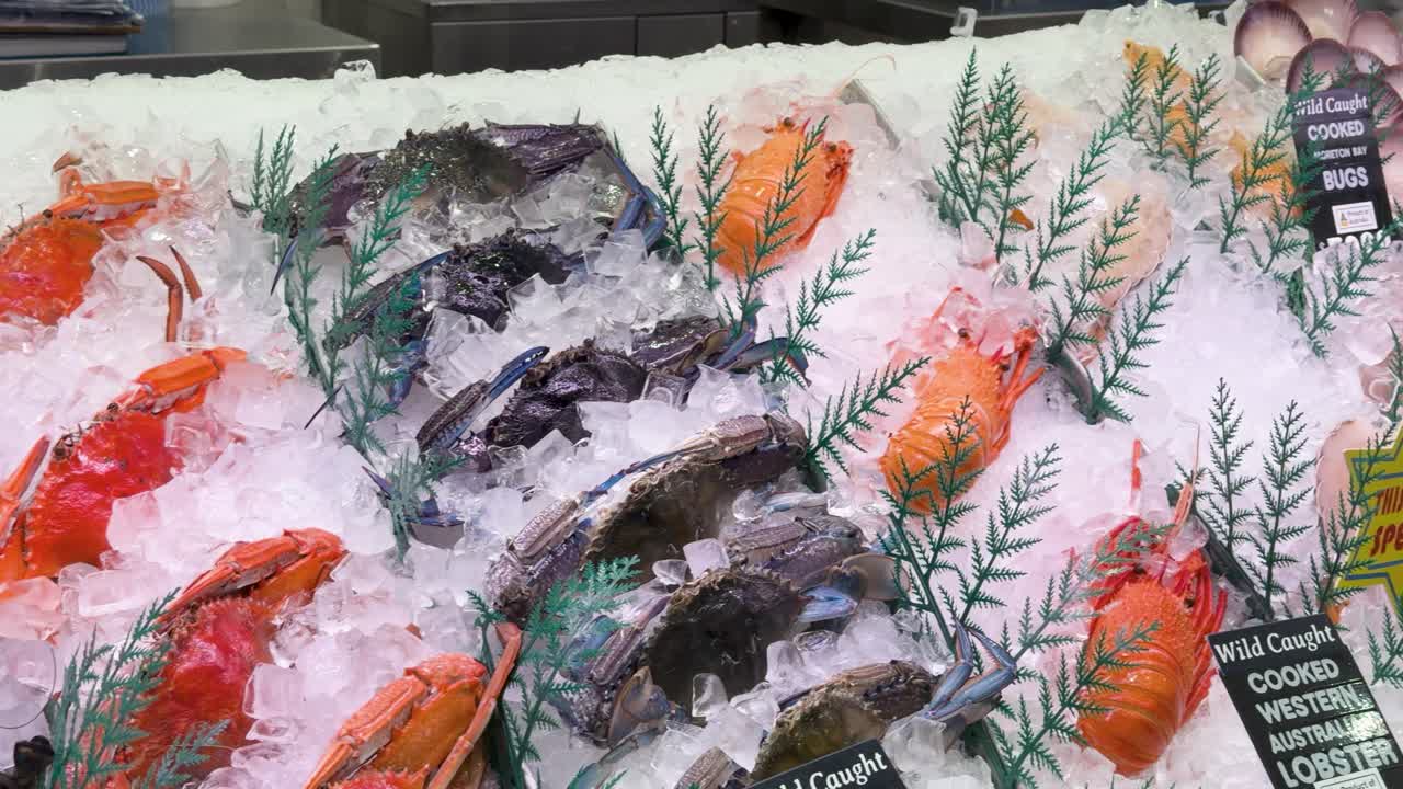 Close-up panning shot of prawns, shrimp, oysters, and fish on ice under bright lighting