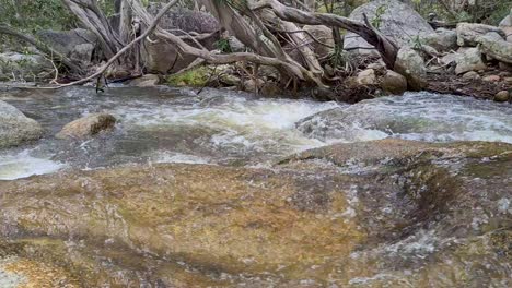 agua fresca que fluye sobre las rocas en las cataratas de emerald creek