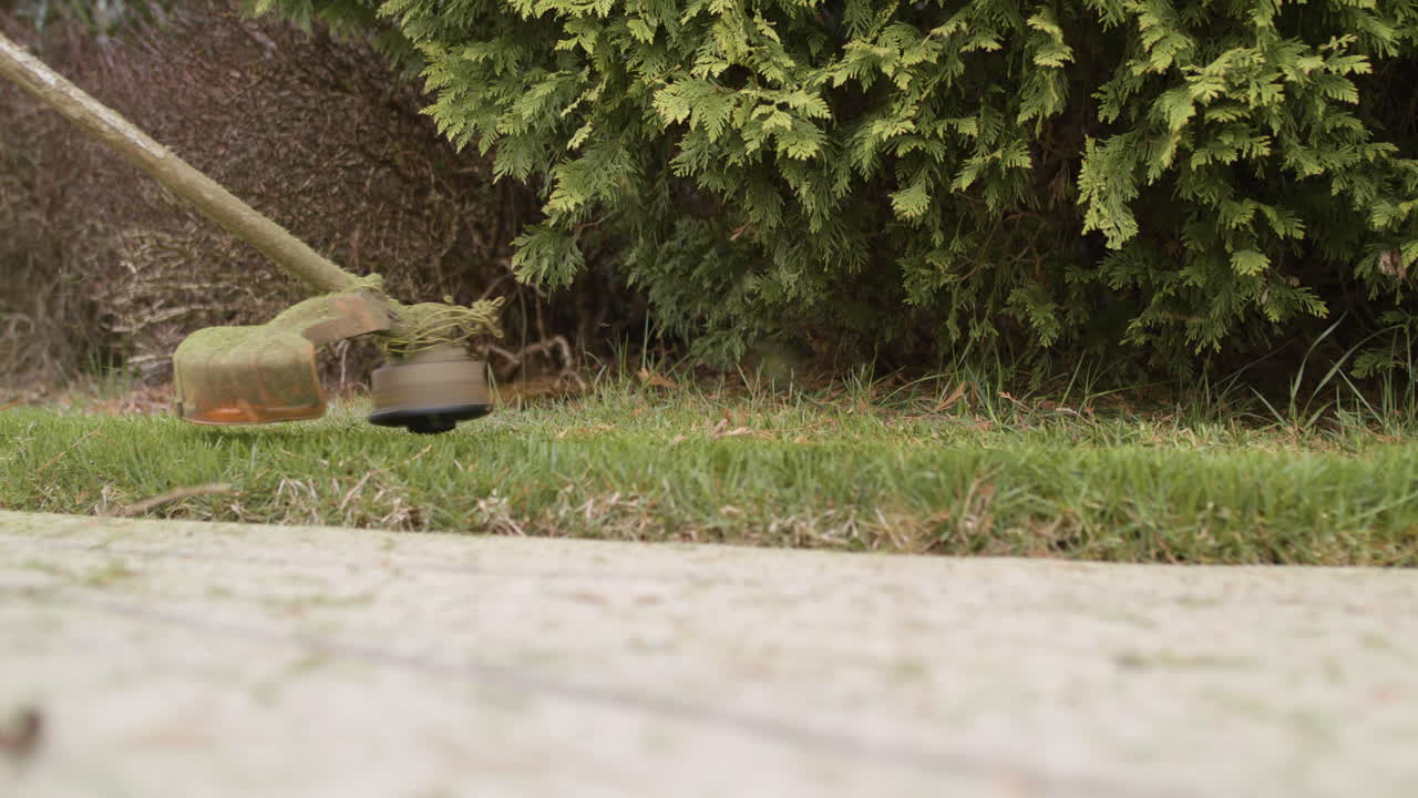 Weed Eater cutting grass in yard