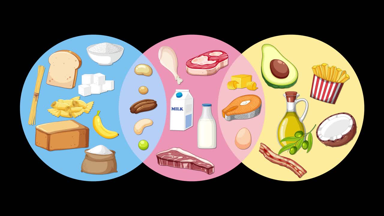 Three overlapping circles animate to sort foods into groups by type, with smooth transitions