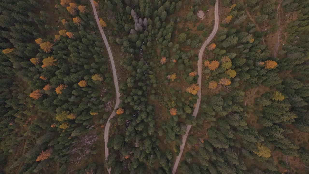 Dronebillede af majestætiske Dolomitter, der troner over gyldne efterårstræer.