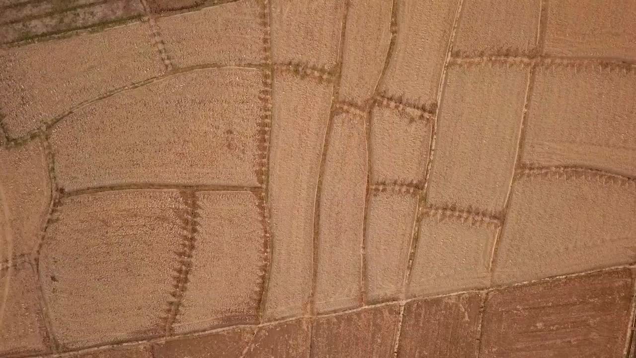 campos de arroz seco en tailandia, vista aérea de ángulo alto ascendente del patrón de tierras agrícolas