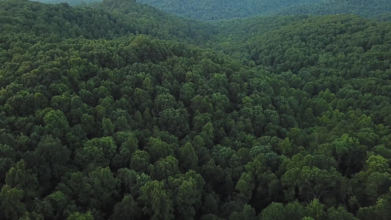 Summertime Mountains in Kentucky Drone Shot