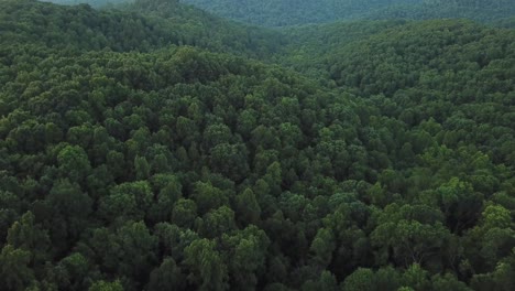 Montañas-De-Verano-En-Kentucky-Drone-Shot