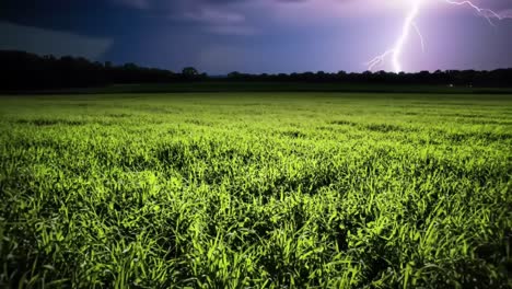dynamic lightning illuminates a verdant landscape understorm: capturing nature's power and beauty in a striking evening scene