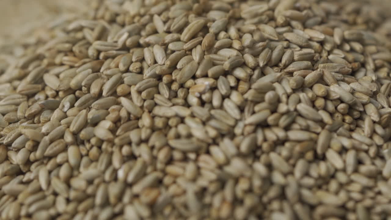 눈에 보이지 않는 손에서 느린 동작으로 어리로 떨어지는 사탕수수