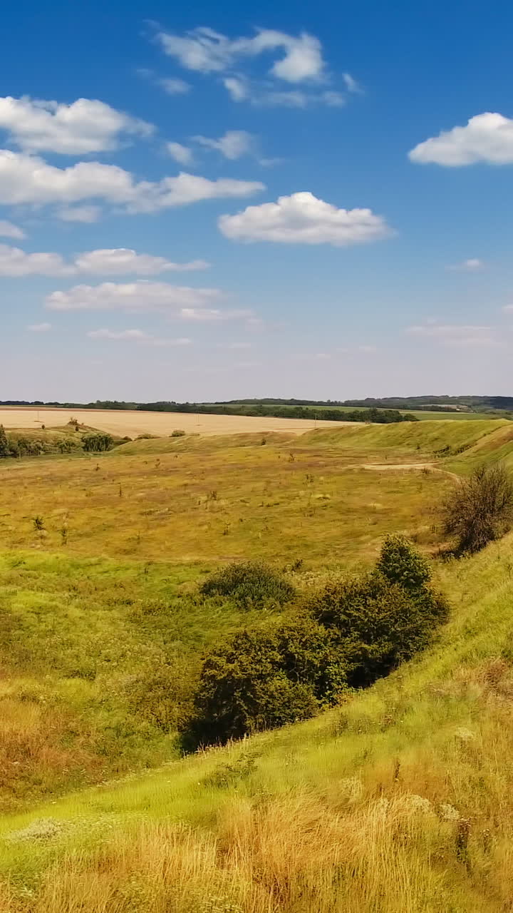 Woman in white dress walks along the hill. Sunny meadow bordering with farmlands. Bright blue sky with white clouds at backdrop. Vertical video