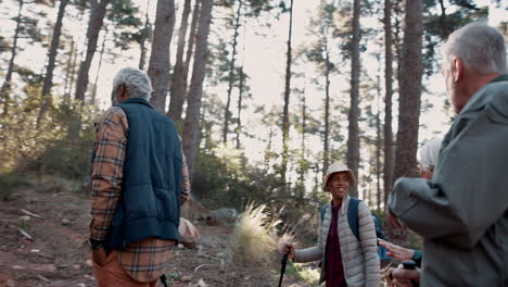 senior hiking group in forest