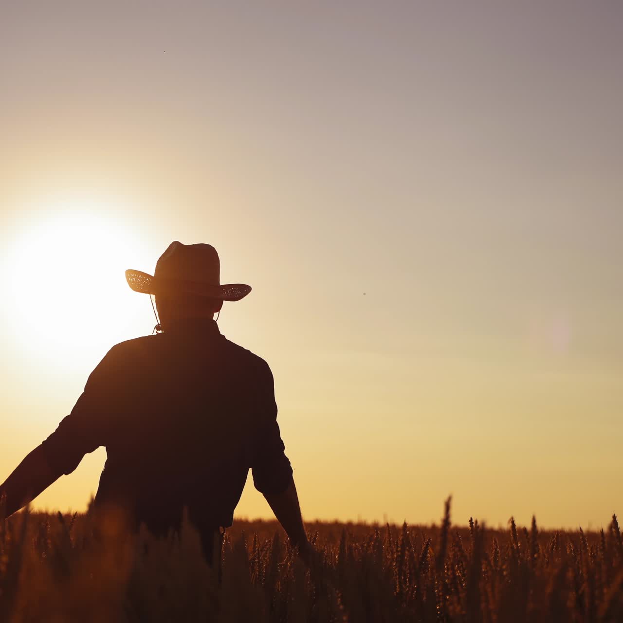 Silhouette of a man in field at sunset. Back view of a farmer in hat walking in a field on the setting sun. Agriculture concept.