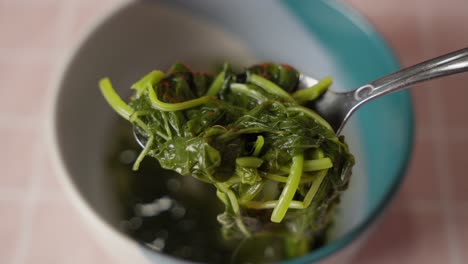 blanched spinach; healthy, nutritious, food.