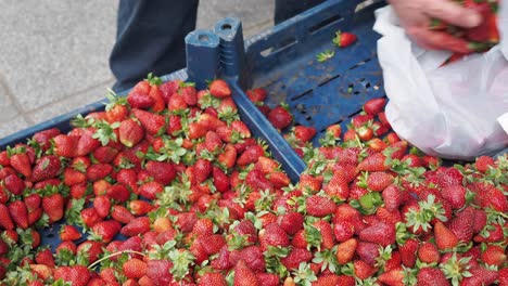 fresh strawberries at a market