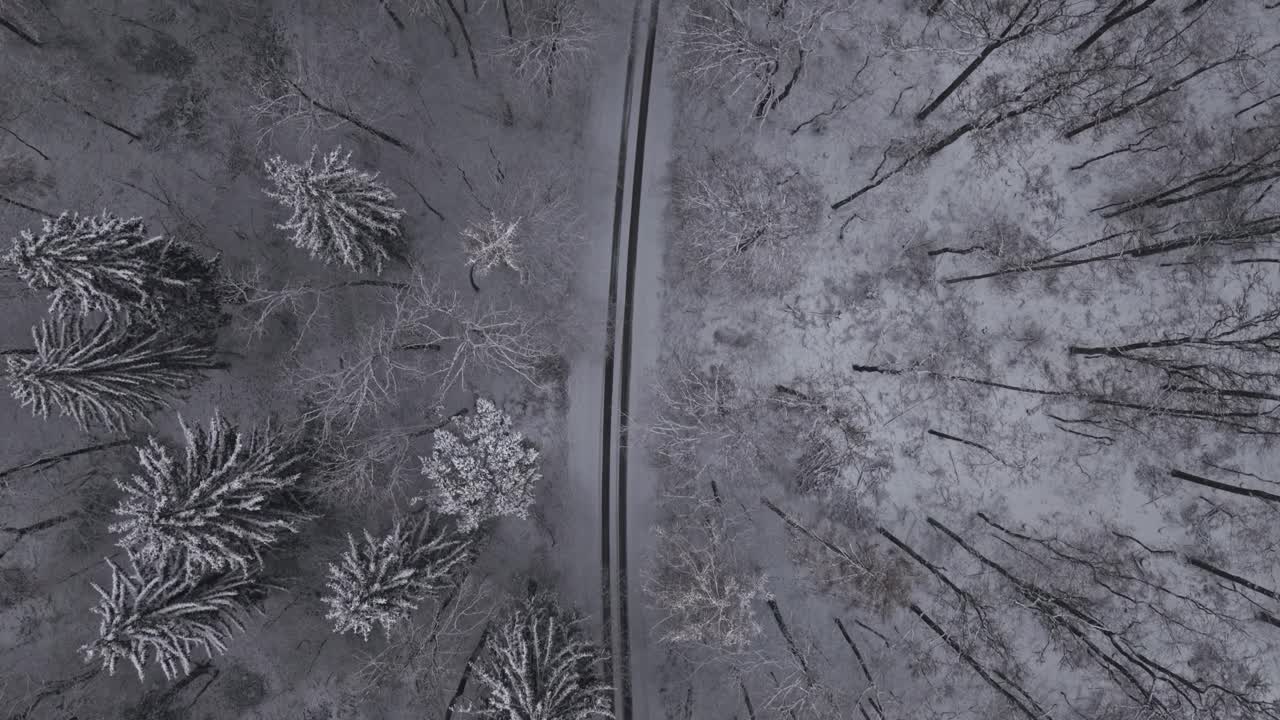 Vista aerea dall'alto di una strada rettilinea che attraversa una foresta innevata in inverno. Alberi ricoperti di brina e toni minimal creano un paesaggio invernale calmo e simmetrico con un forte contrasto visivo.
