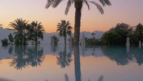 mirror pool reflecting a tropical landscape