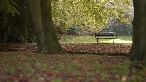 lonley empty bench that views onto countryside lawns