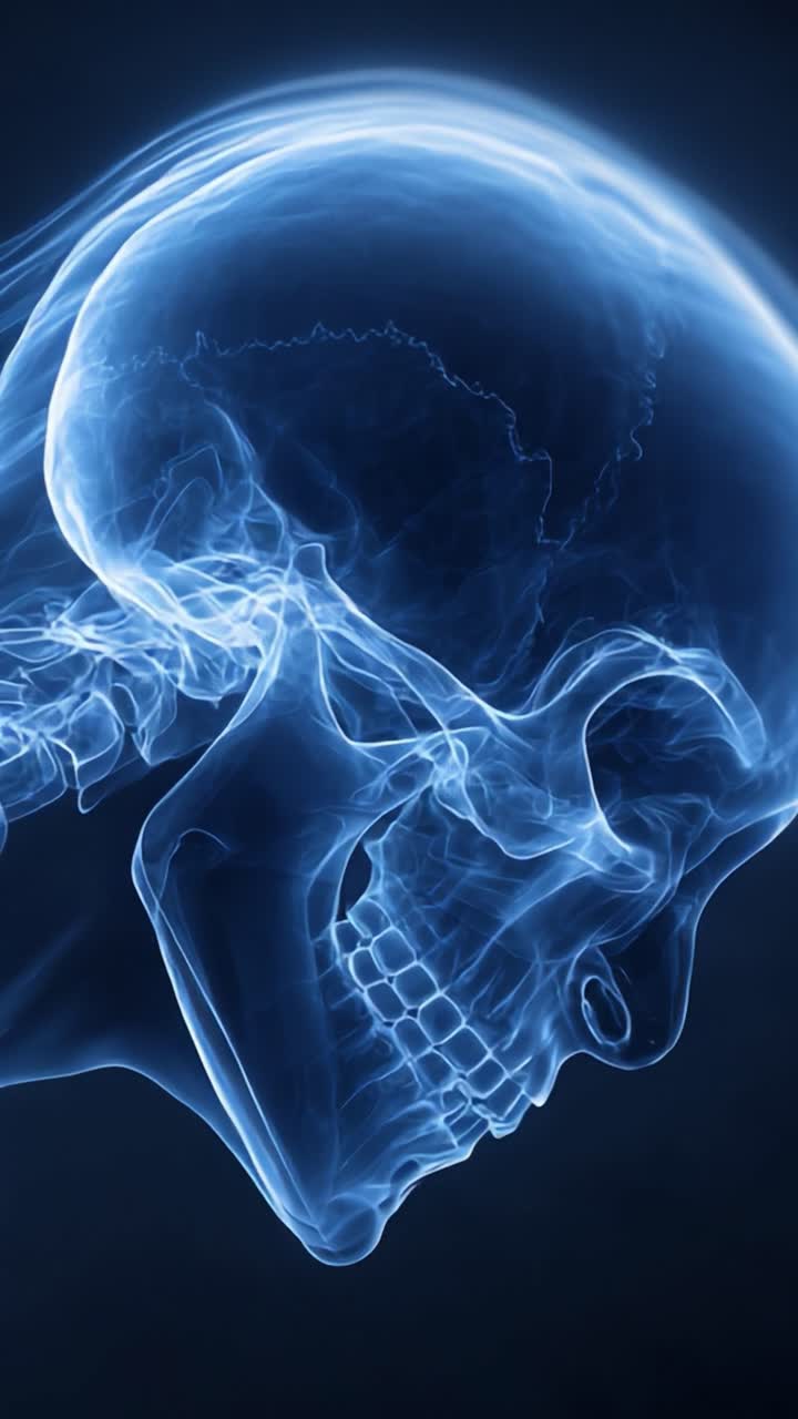 Radiant Visualization of a Human Skull, Showcasing Intricate Structural Details in an Illuminated X-Ray Style Against a Dark Background