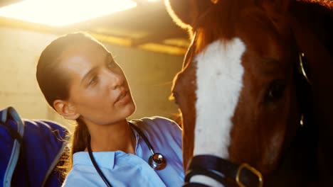 veterinarian doctor checking a horse 4k