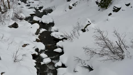 Aerial drone view of a narrow mountain stream flowing through a snow-covered forested landscape in winter