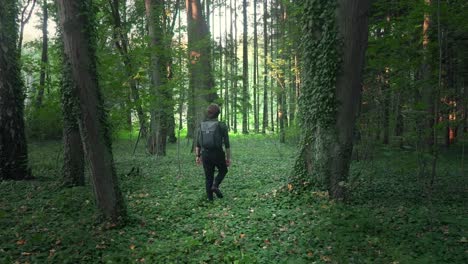 Young-traveler-walks-through-a-green-forest-with-trees-and-ivy-on-a-sunny-summer-day-in-slow-motion