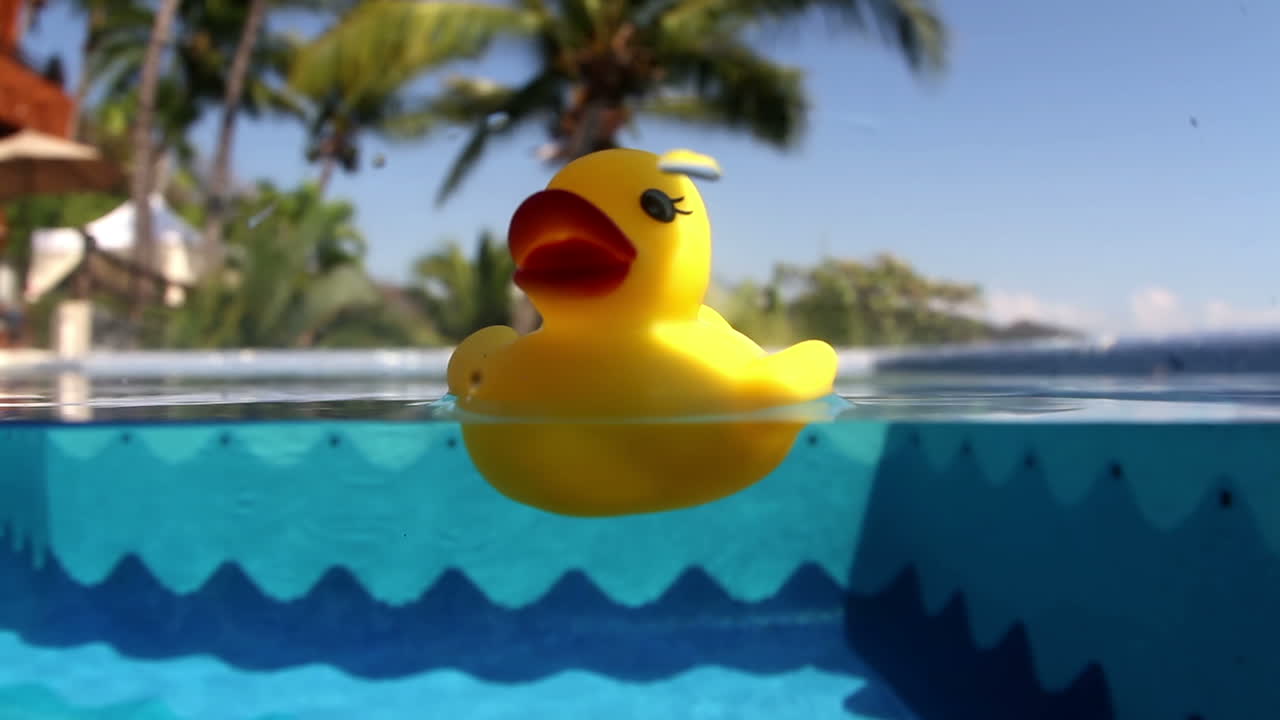 Plastic Duckie 01