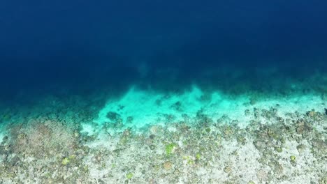 Vista-Aérea-De-Arriba-Hacia-Abajo-De-Aguas-Brillantes-Con-Arrecifes-De-Coral-En-El-Destino-De-Buceo-De-Raja-Ampat,-Papua-Occidental,-Indonesia