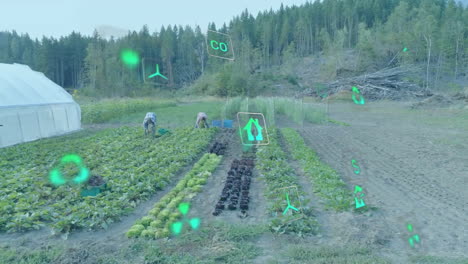 animación de iconos de ecología sobre diversos agricultores que recogen verduras en el jardín