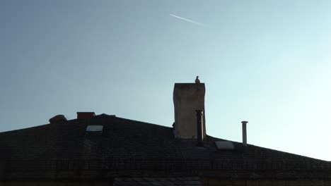 silhouette of a bird perched on a rooftop chimney against a clear blue sky