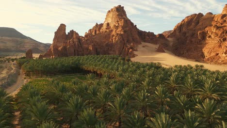 oasis dans le désert avec des palmiers verts, des rochers orange et du sable jaune au lever du soleil