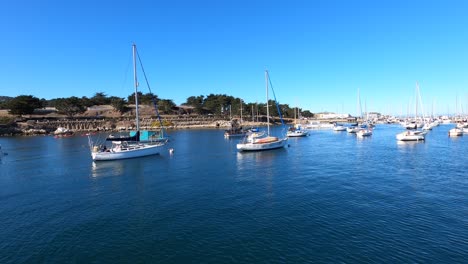 Segelboote-Angedockt-Im-Sonnigen-Kalifornischen-Marina---Nocal-Winter---4k