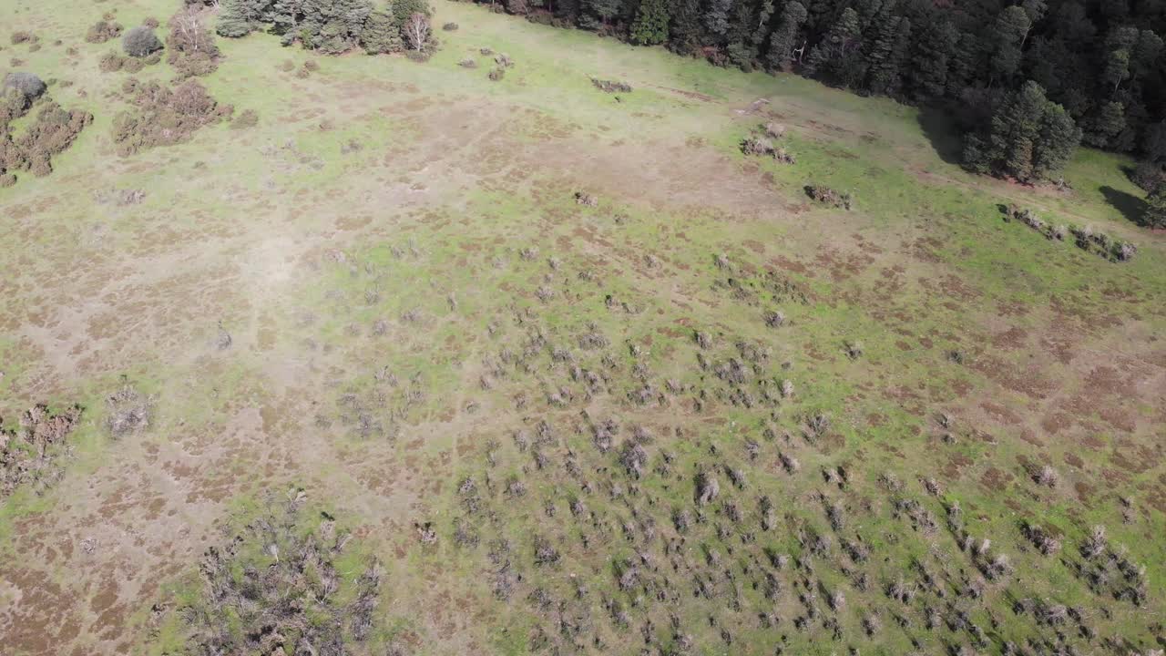 Aerial Birds eye view showcasing the diverse textures and colors of the landscape, creating a visually captivating abstract composition. Tilt Up Shot