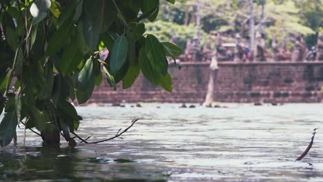 aguas que rodean los antiguos templos de angkor wat