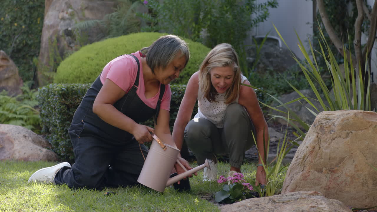 Watering plants, two multiracial female friends gardening together and enjoying outdoor activity